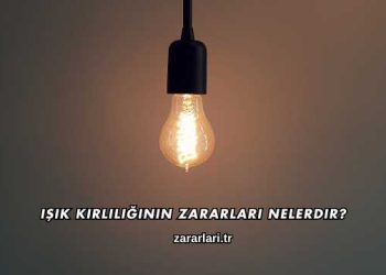 Işık Kirliliğinin Zararları Nelerdir?