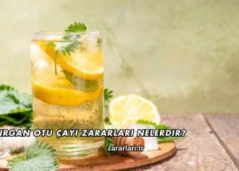Isırgan Otu Çayı Zararları Nelerdir?