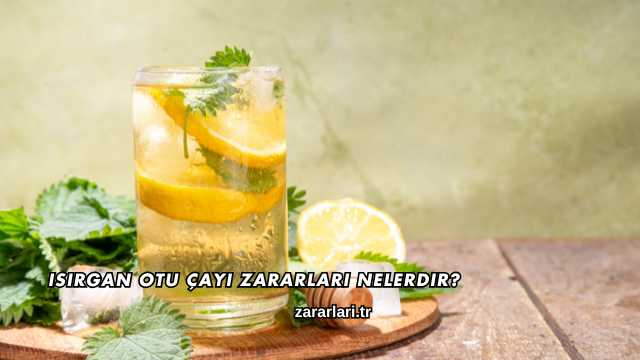 Isırgan Otu Çayı Zararları Nelerdir?