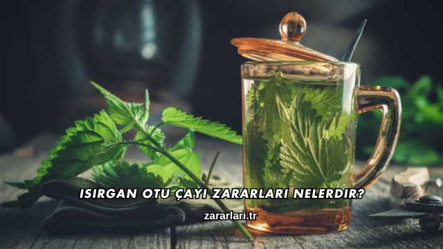 Isırgan Otu Çayı Zararları Nelerdir?