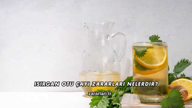 Isırgan Otu Çayı Zararları Nelerdir?