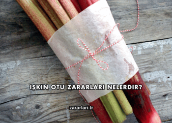 Işkın Otu Zararları Nelerdir?