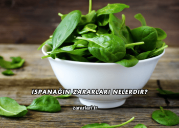 Ispanağın Zararları Nelerdir?