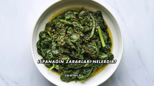 Ispanağın Zararları Nelerdir?