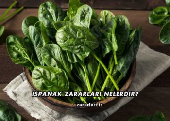 Ispanak Zararları Nelerdir?