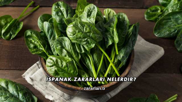 Ispanak Zararları Nelerdir?