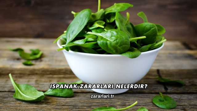 Ispanak Zararları Nelerdir?