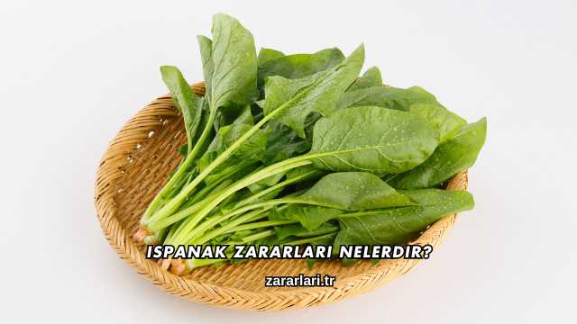 Ispanak Zararları Nelerdir?