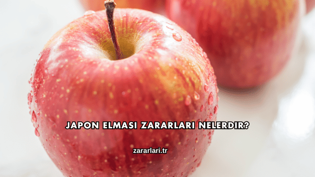 Japon Elması Zararları Nelerdir?