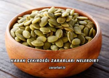 Kabak Çekirdeği Zararları Nelerdir?