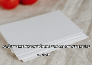 Kağıt Yeme Hastalığının Zararları Nelerdir?