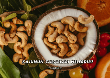 Kajunun Zararları Nelerdir?