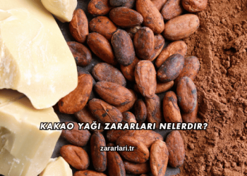 Kakao Yağı Zararları Nelerdir?