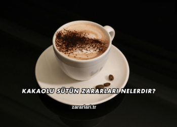 Kakaolu Sütün Zararları Nelerdir?