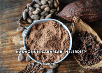 Kakaonun Zararları Nelerdir?