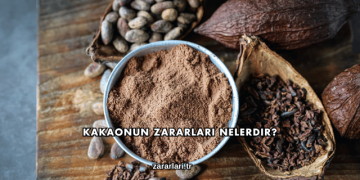 Kakaonun Zararları Nelerdir?