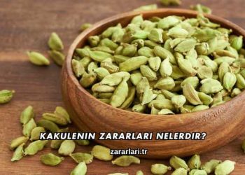 Kakulenin Zararları Nelerdir?