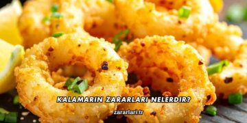 Kalamarın Zararları Nelerdir?