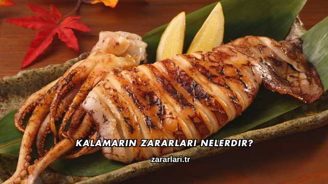 Kalamarın Zararları Nelerdir?