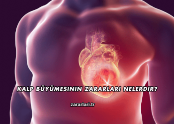 Kalp Büyümesinin Zararları Nelerdir?