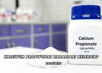 Kalsiyum Propiyonat Zararları Nelerdir?