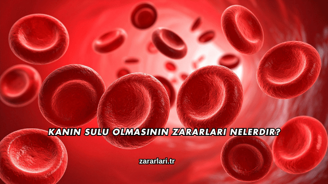 Kanın Sulu Olmasının Zararları Nelerdir?