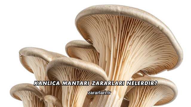 Kanlıca Mantarı Zararları Nelerdir?