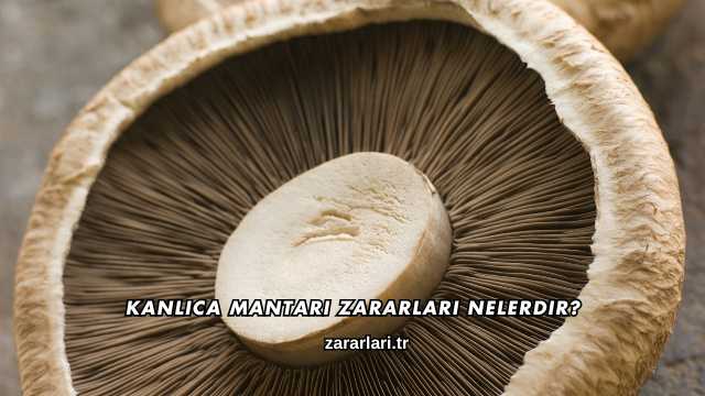 Kanlıca Mantarı Zararları Nelerdir?