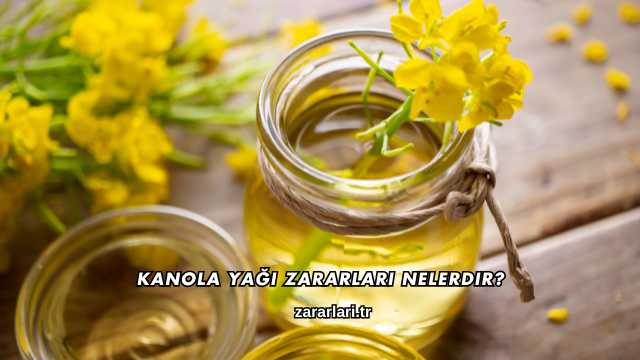 Kanola Yağı Zararları Nelerdir?