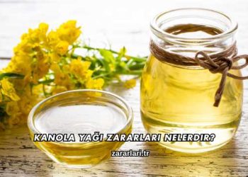 Kanola Yağı Zararları Nelerdir?