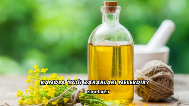 Kanola Yağı Zararları Nelerdir?