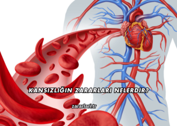 Kansızlığın Zararları Nelerdir?