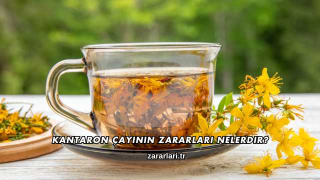 Kantaron Çayının Zararları Nelerdir?