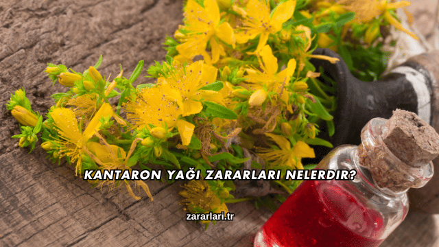 Kantaron Yağı Zararları Nelerdir?