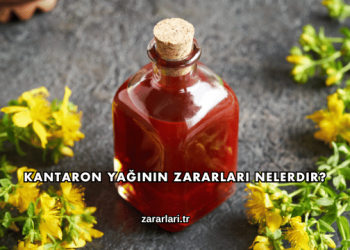 Kantaron Yağının Zararları Nelerdir?
