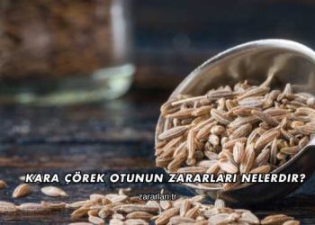 Kara Çörek Otunun Zararları Nelerdir?