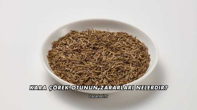 Kara Çörek Otunun Zararları Nelerdir?