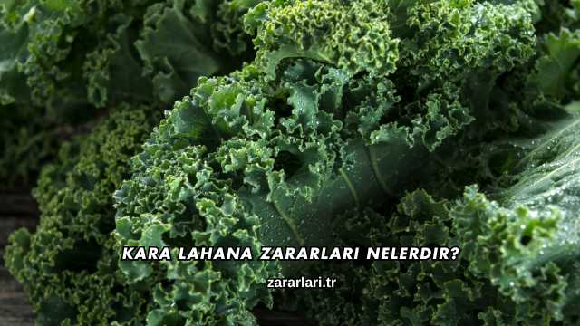 Kara Lahana Zararları Nelerdir?