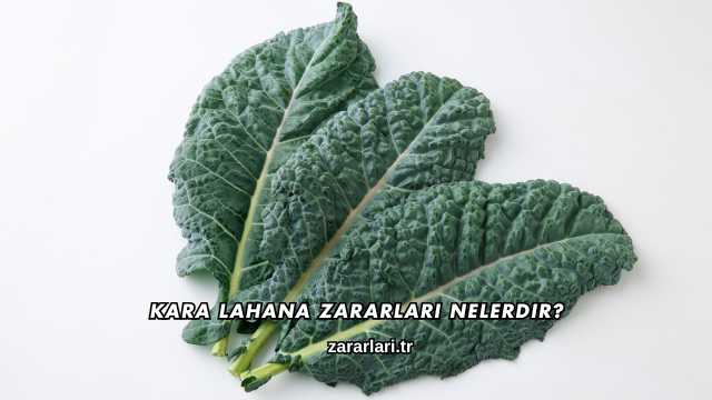 Kara Lahana Zararları Nelerdir?