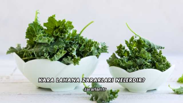 Kara Lahana Zararları Nelerdir?