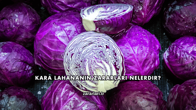 Kara Lahananın Zararları Nelerdir?