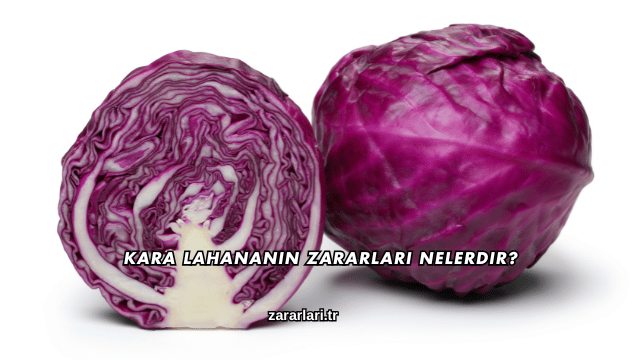 Kara Lahananın Zararları Nelerdir?