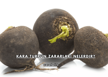 Kara Turpun Zararları Nelerdir?