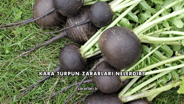 Kara Turpun Zararları Nelerdir?