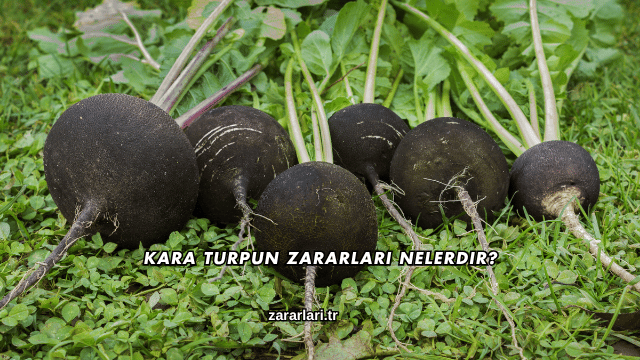 Kara Turpun Zararları Nelerdir?