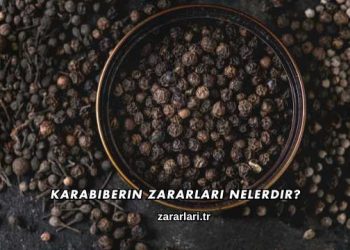 Karabiberin Zararları Nelerdir?