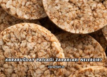 Karabuğday Patlağı Zararları Nelerdir?