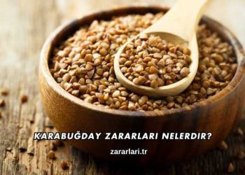 Karabuğday Zararları Nelerdir?