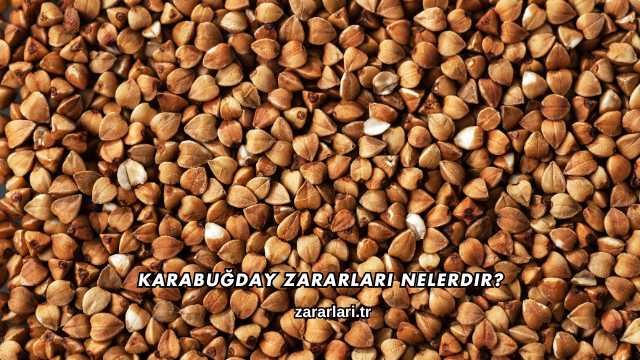 Karabuğday Zararları Nelerdir?