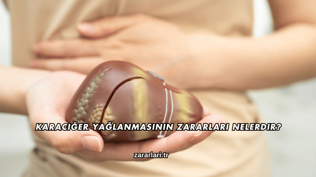 Karaciğer Yağlanmasının Zararları Nelerdir?
